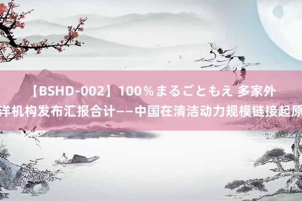 【BSHD-002】100％まるごともえ 多家外洋机构发布汇报合计——中国在清洁动力规模链接起原