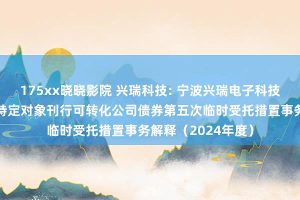 175xx晓晓影院 兴瑞科技: 宁波兴瑞电子科技股份有限公司向不特定对象刊行可转化公司债券第五次临时受托措置事务解释(2024年度)