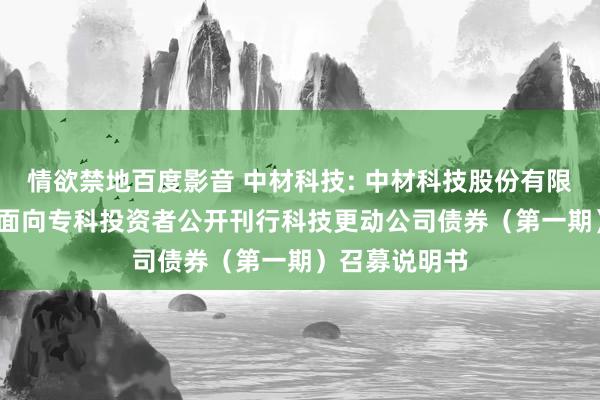 情欲禁地百度影音 中材科技: 中材科技股份有限公司2024年面向专科投资者公开刊行科技更动公司债券(第一期)召募说明书