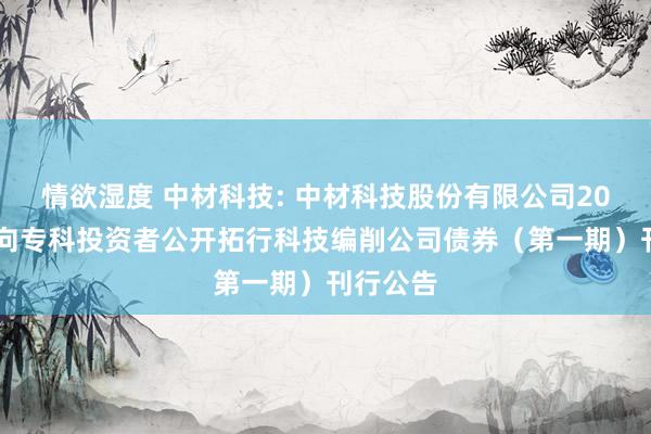 情欲湿度 中材科技: 中材科技股份有限公司2024年面向专科投资者公开拓行科技编削公司债券(第一期)刊行公告