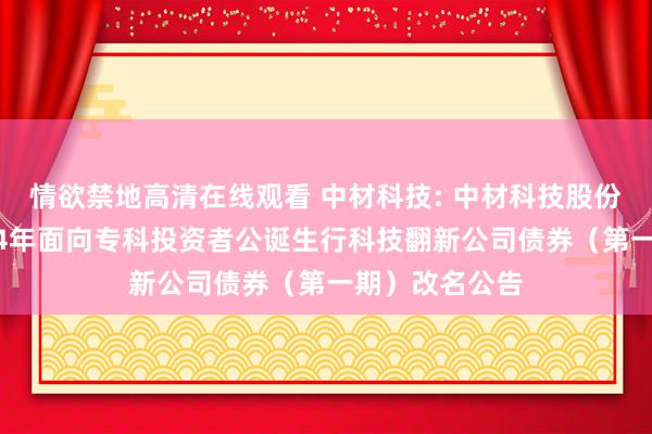 情欲禁地高清在线观看 中材科技: 中材科技股份有限公司2024年面向专科投资者公诞生行科技翻新公司债券(第一期)改名公告