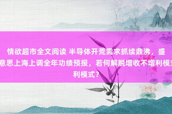 情欲超市全文阅读 半导体开荒需求抓续鼎沸，盛好意思上海上调全年功绩预报，若何解脱增收不增利模式？
