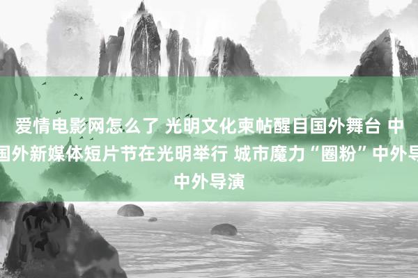 爱情电影网怎么了 光明文化柬帖醒目国外舞台 中国国外新媒体短片节在光明举行 城市魔力“圈粉”中外导演