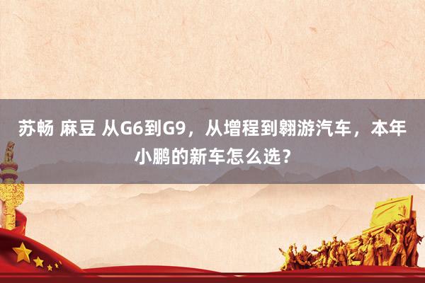 苏畅 麻豆 从G6到G9，从增程到翱游汽车，本年小鹏的新车怎么选？