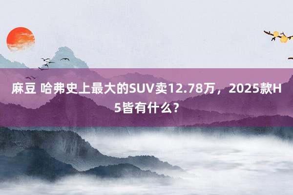 麻豆 哈弗史上最大的SUV卖12.78万，2025款H5皆有什么？