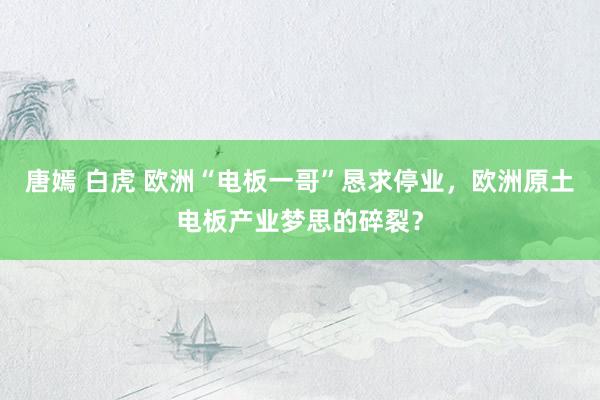 唐嫣 白虎 欧洲“电板一哥”恳求停业，欧洲原土电板产业梦思的碎裂？