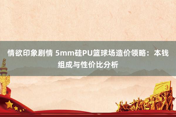 情欲印象剧情 5mm硅PU篮球场造价领略：本钱组成与性价比分析