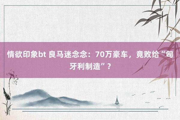 情欲印象bt 良马迷念念：70万豪车，竟败给“匈牙利制造”？
