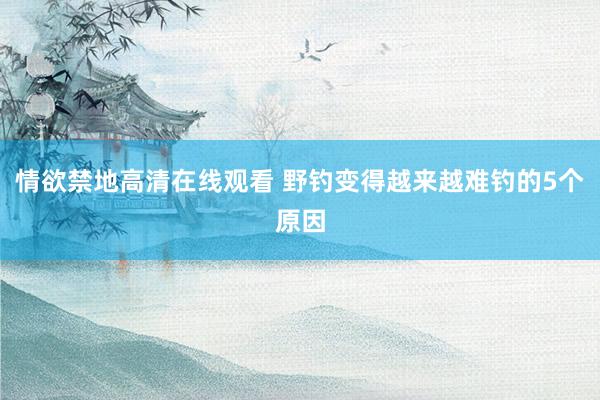情欲禁地高清在线观看 野钓变得越来越难钓的5个原因