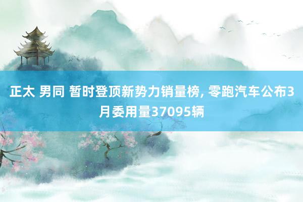 正太 男同 暂时登顶新势力销量榜, 零跑汽车公布3月委用量37095辆