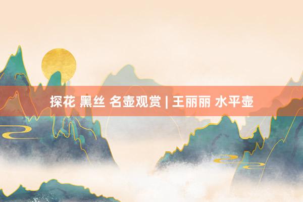探花 黑丝 名壶观赏 | 王丽丽 水平壶