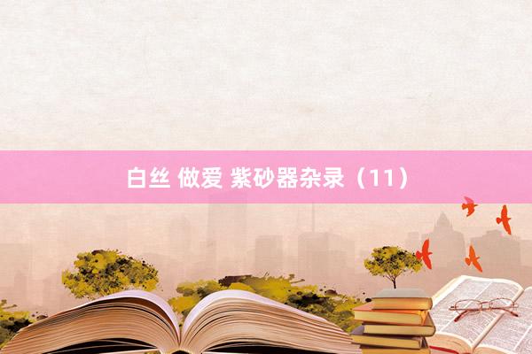 白丝 做爱 紫砂器杂录（11）